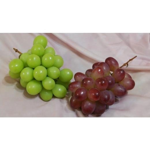 ふるさと納税 ぶどう マスカット 長野県 塩尻市 先行予約 贈答用 信州産 葡萄 詰め合わせ 2房 シャインマスカット、クイーンルージュ? | 果物 くだもの ぶど…