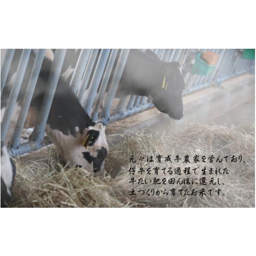 ふるさと納税 米 ひとめぼれ 岩手県 平泉町 令和7年産 平泉町産 ひとめぼれ 白米30kg ／ こめ コメ 米 お米 おこめ 白米 ご飯 ごはん ライス 山水 aoki005Aの画像