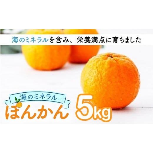 ふるさと納税 みかん・柑橘類 高知県 東洋町 先行予約 海のミネラルをたっぷり含んだ甲浦のポンカン 5kg 国産 東洋町産 甘い 栄養たっぷり ジューシー 果肉 …
