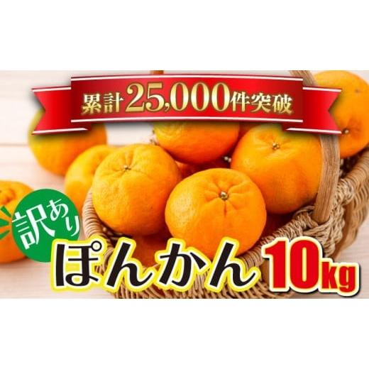 ふるさと納税 果物類 高知県 東洋町 「先行予約」訳アリ 東洋町ポンカン 10kg 10kg
