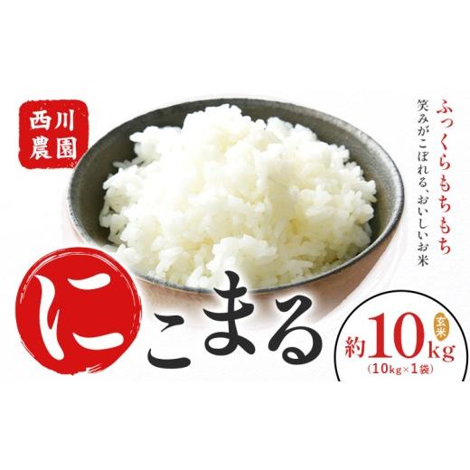 ふるさと納税 米 にこまる 熊本県 荒尾市 令和7年産 米 にこまる 約10kg (10kg×1袋) こめ コメ 玄米 西川農園[30日以内に出荷予定(土日祝除く)] 熊本県 荒…