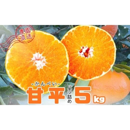 ふるさと納税 みかん・柑橘類 愛媛県 伊予市 みかん 甘平 5kg Mサイズ バラ詰め 農園直送 先行予約 2月上旬から順次発送予定 愛媛 数量限定 愛媛県産 人気 柑…