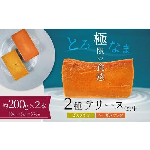 ふるさと納税 焼菓子・チョコレート ブラウニー 愛知県 碧南市 テリーヌ専門店L (約200g)ピスタチオ・ヘーゼルナッツの2種のテリーヌセット グルテンフ…