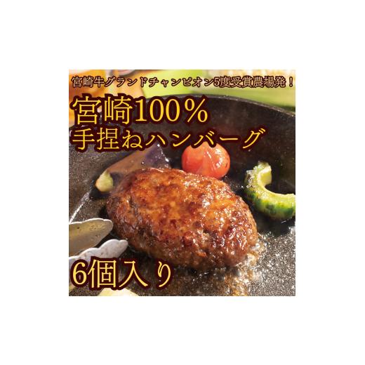 ふるさと納税 牛肉 ハンバーグ 福岡県 行橋市 DI-001_宮崎牛100%手捏ねハンバーグ 〜宮崎牛グランドチャンピオン5度受賞農場発