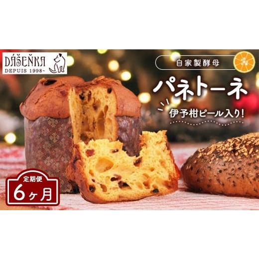 ふるさと納税 焼菓子・チョコレート 愛知県 幸田町 6ヶ月定期便 自家製酵母使用のパネトーネ 1個入り | お菓子 おやつ
