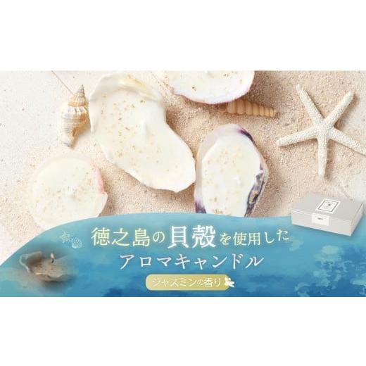 ふるさと納税 雑貨・日用品 鹿児島県 天城町 徳之島の貝殻を使用したアロマキャンドル (5個セット) |アロマキャンドル キャンドル 貝殻 癒し 鹿児島県 徳…