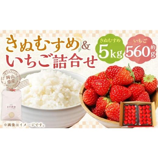 ふるさと納税 いちご 岡山県 美咲町 令和7年産 新米・精米 きぬむすめ5kg&amp;いちご詰合せ(約280g×2パック) 2026年1月上旬から5月上旬頃発送予定 いちご …