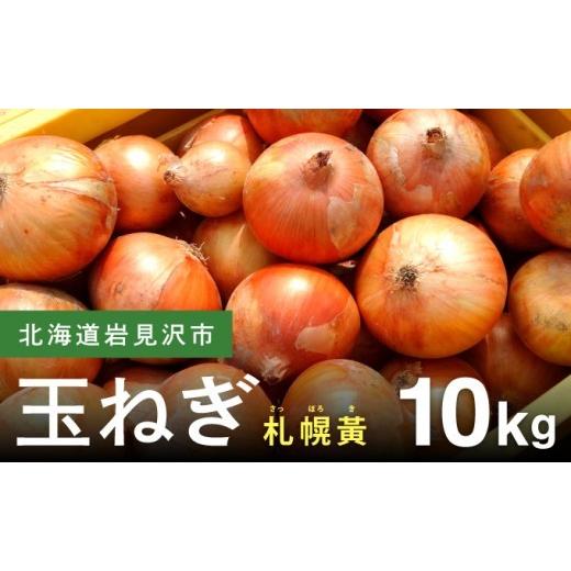 ふるさと納税 野菜類 玉ねぎ 北海道 岩見沢市  先行予約 幻の玉ねぎ 札幌黄（さっぽろき）10kg たまねぎ 玉葱 タマネギ 国産 まとめ買い 業務用 贈り物 野菜 …の画像