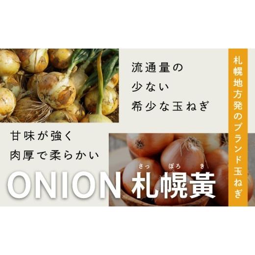 ふるさと納税 野菜類 玉ねぎ 北海道 岩見沢市  先行予約 幻の玉ねぎ 札幌黄（さっぽろき）10kg たまねぎ 玉葱 タマネギ 国産 まとめ買い 業務用 贈り物 野菜 …の画像