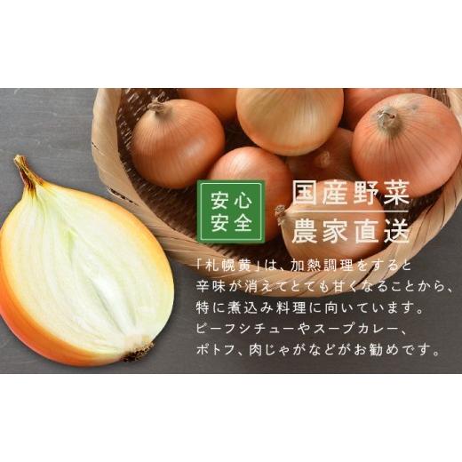 ふるさと納税 野菜類 玉ねぎ 北海道 岩見沢市  先行予約 幻の玉ねぎ 札幌黄（さっぽろき）10kg たまねぎ 玉葱 タマネギ 国産 まとめ買い 業務用 贈り物 野菜 …の画像