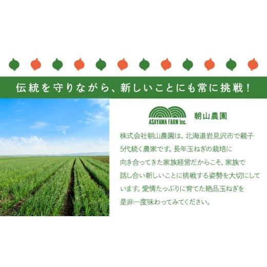 ふるさと納税 野菜類 玉ねぎ 北海道 岩見沢市  先行予約 幻の玉ねぎ 札幌黄（さっぽろき）10kg たまねぎ 玉葱 タマネギ 国産 まとめ買い 業務用 贈り物 野菜 …の画像