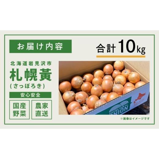 ふるさと納税 野菜類 玉ねぎ 北海道 岩見沢市  先行予約 幻の玉ねぎ 札幌黄（さっぽろき）10kg たまねぎ 玉葱 タマネギ 国産 まとめ買い 業務用 贈り物 野菜 …の画像