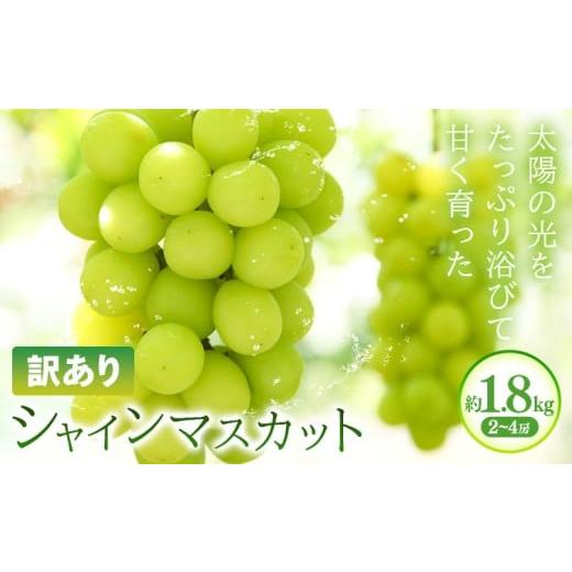 ふるさと納税 ぶどう マスカット 岡山県 浅口市 訳あり シャインマスカット 約1.8kg(2~4房) 株式会社日本植生グループ本社 NISSHOKU FARM[9月下旬-12月末頃出…