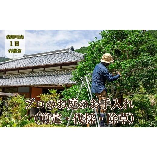 ふるさと納税 イベントやチケット等 高知県 佐川町 庭のお手入れ 剪定・伐採・除草 庭づくり 庭木 植木 創樹園 管理 施工 サービス 作業場は佐川町限定 実家…