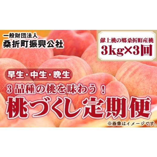ふるさと納税 もも 福島県 桑折町 2026年産先行受付・献上桃の郷桑折町産もも 定期便3kg×3回 品種おまかせ / 桃 定期便 先行受付 特秀品 糖度選果 光センサ…