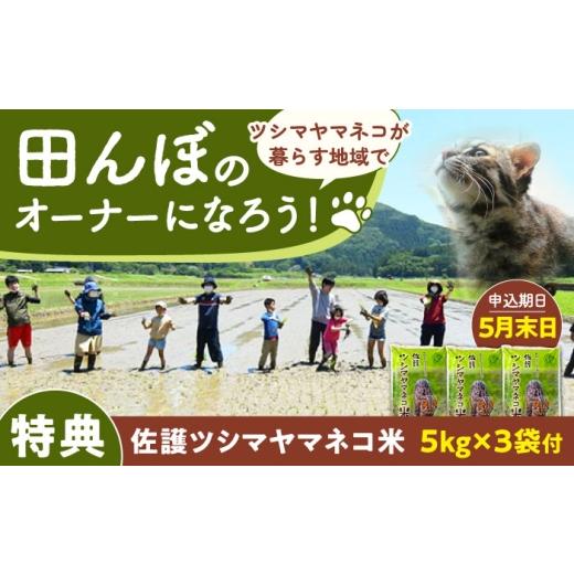 ふるさと納税 米 長崎県 対馬市 対馬 佐護 ツシマヤマネコ 米 田んぼオーナー1年権 ツシマヤマネコ米15kg付き （対馬市） 一般社団法人MIT 米作り体験 田植え …の画像