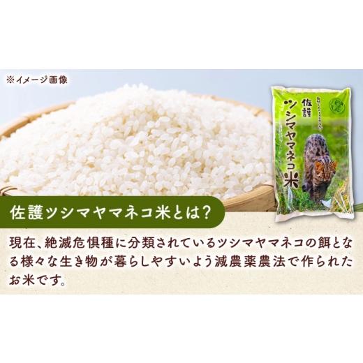 ふるさと納税 米 長崎県 対馬市 対馬 佐護 ツシマヤマネコ 米 田んぼオーナー1年権 ツシマヤマネコ米15kg付き （対馬市） 一般社団法人MIT 米作り体験 田植え …の画像