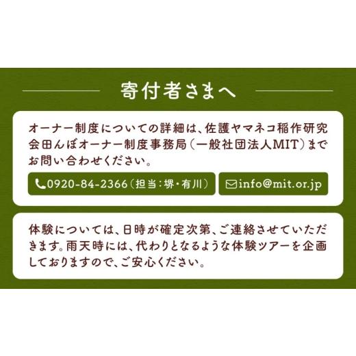 ふるさと納税 米 長崎県 対馬市 対馬 佐護 ツシマヤマネコ 米 田んぼオーナー1年権 ツシマヤマネコ米15kg付き （対馬市） 一般社団法人MIT 米作り体験 田植え …の画像