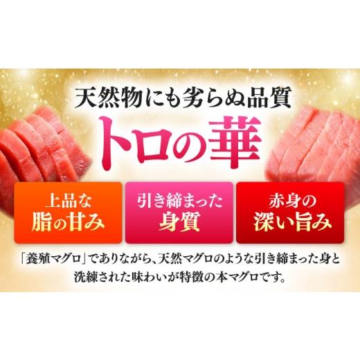 ふるさと納税 マグロ 長崎県 対馬市  全6回定期便 対馬産 本マグロ 赤身200g 対馬市 桐谷商店 トロの華 対馬 新鮮 マグロ 赤身 鮪 刺身 WAQ113の画像
