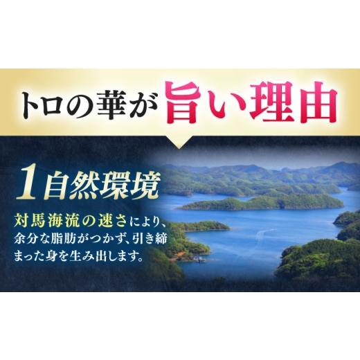 ふるさと納税 マグロ 長崎県 対馬市  全6回定期便 対馬産 本マグロ 赤身200g 対馬市 桐谷商店 トロの華 対馬 新鮮 マグロ 赤身 鮪 刺身 WAQ113の画像