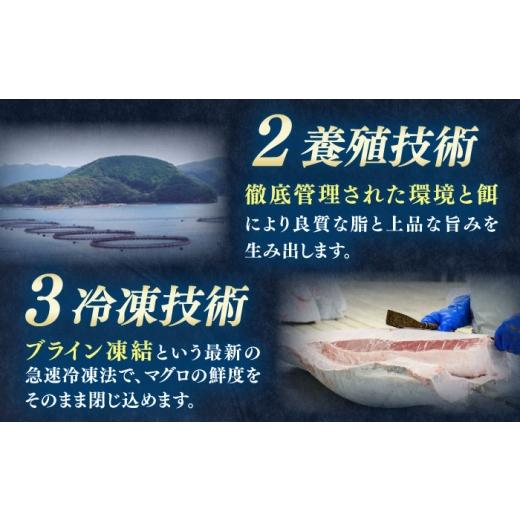 ふるさと納税 マグロ 長崎県 対馬市  全6回定期便 対馬産 本マグロ 赤身200g 対馬市 桐谷商店 トロの華 対馬 新鮮 マグロ 赤身 鮪 刺身 WAQ113の画像