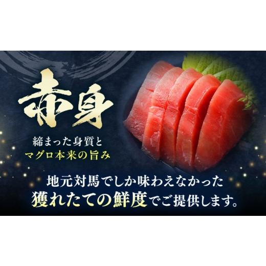 ふるさと納税 マグロ 長崎県 対馬市  全6回定期便 対馬産 本マグロ 赤身200g 対馬市 桐谷商店 トロの華 対馬 新鮮 マグロ 赤身 鮪 刺身 WAQ113の画像