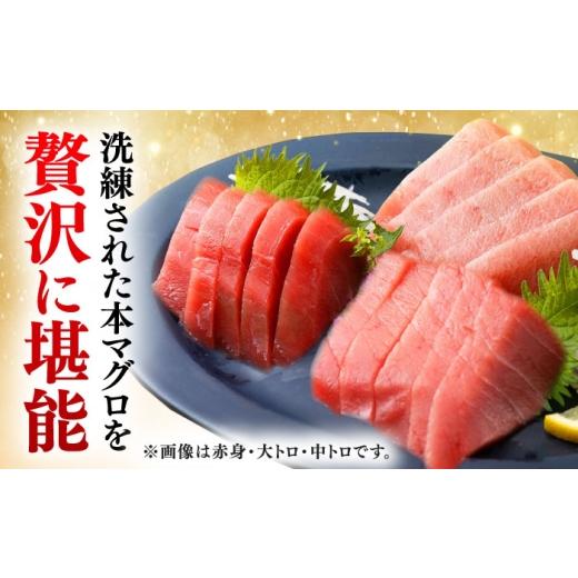 ふるさと納税 マグロ 長崎県 対馬市  全6回定期便 対馬産 本マグロ 中トロ200g 対馬市 桐谷商店 トロの華 対馬 新鮮 マグロ 中トロ トロ 鮪 刺身 WAQ121の画像