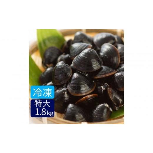 ふるさと納税 魚貝類 島根県 出雲市 たっぷりエキスの特大しじみ 島根県宍道湖産大和しじみ砂抜き済み