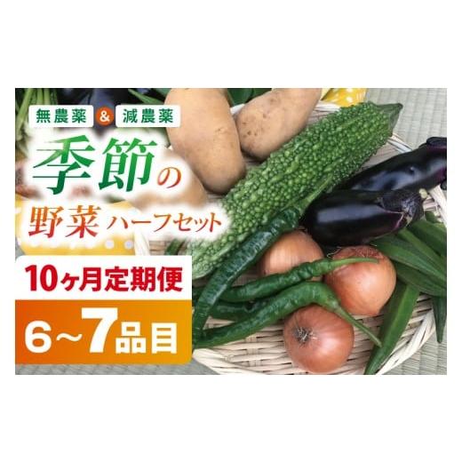 ふるさと納税 セット・詰合せ 茨城県 行方市 10ヶ月定期便 身体が喜ぶ季節の野菜ハーフセット(6〜7品)|野菜 やさい 野菜セット セット 詰め合わせ おまかせ …