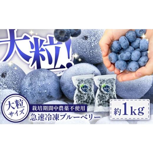 ふるさと納税 果物類 熊本県 菊陽町 大粒 国産 急速冷凍ブルーベリー 計約1kg(約500g×2袋) 大粒 果物 くだもの フルーツ ぶるーべりー 熊本県 菊陽町 アグ…