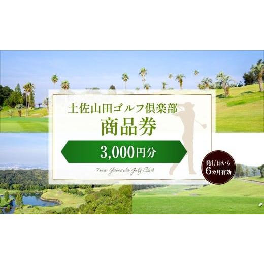 ふるさと納税 ゴルフ場利用券 高知県 香美市 土佐山田ゴルフ倶楽部 商品券3,000円分 ゴルフ チケット ゴルフ場利用券 プレー券 施設利用券 ごるふ golf 運動 …