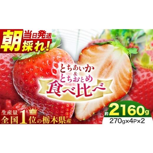 ふるさと納税 いちご 栃木県 那珂川町 朝採れ当日発送 とちあいか&とちおとめ食べ比べ 約270g×4P×2 | 苺 イチゴ 大粒 甘い 贈答用 数量限定 果物 フルーツ…