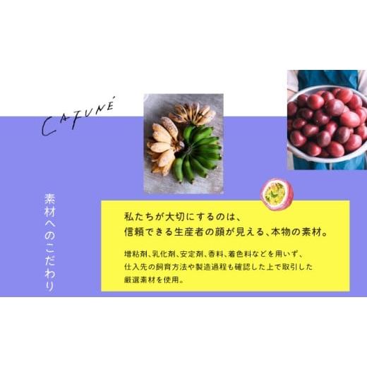 ふるさと納税 菓子 アイス 沖縄県 宜野湾市 添加剤不使用 CAFUN? カフネ アイスクリーム 12個セット | 沖縄の食材 国産 厳選素材 沖縄素材 地産地消 手づくり …の画像