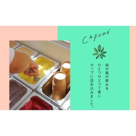 ふるさと納税 菓子 アイス 沖縄県 宜野湾市 添加剤不使用 CAFUN? カフネ アイスクリーム 12個セット | 沖縄の食材 国産 厳選素材 沖縄素材 地産地消 手づくり …の画像