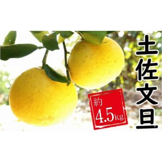 ふるさと納税 果物類 みかん 愛媛県 愛南町 土佐文旦 約4.5kg みかん 蜜柑 文旦 果物 柑橘 フルーツ ゼリー ジュース ビタミンC 農園 直送 サイズミックス 傷 …