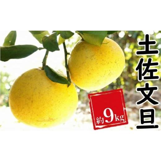 ふるさと納税 果物類 みかん 愛媛県 愛南町 土佐文旦 約9kg みかん 蜜柑 文旦 果物 柑橘 フルーツ ゼリー ジュース ビタミンC 健康 美容 農園 直送 サイズミッ…