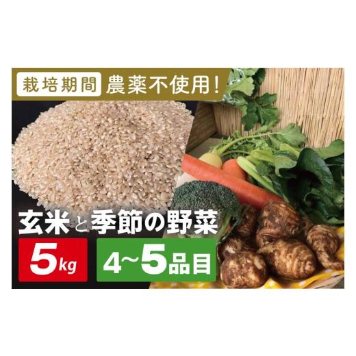 ふるさと納税 セット・詰合せ 茨城県 行方市  身体が喜ぶ野菜 玄米5kgと季節の野菜(おまかせ4〜5品)(茨城県共通返礼品／潮来市)｜米 お米 こめ 玄米 野菜 野菜…_1