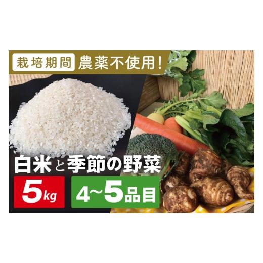 ふるさと納税 セット・詰合せ 茨城県 行方市  身体が喜ぶ野菜 白米5kgと季節の野菜(おまかせ4〜5品)(茨城県共通返礼品／潮来市)｜米 お米 こめ 白米 野菜 野菜…_1