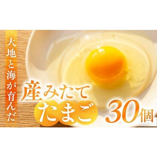 ふるさと納税 卵(鶏、烏骨鶏等) 愛知県 田原市 産みたてたまご 30個 ( 割れ保証込み 25個 + 5個 ) 卵 たまご ナガイタマゴ 鶏卵 卵かけごはん 海藻 エサ 赤…