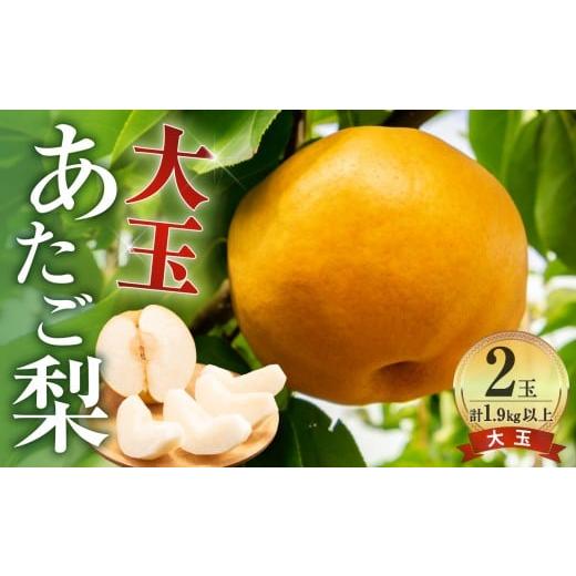 ふるさと納税 梨 岡山県 備前市 先行受付 岡山県産 あたご梨 大玉2玉 (1玉950g以上)(令和8年11月中旬〜12月中旬頃発送) 岡山県産 あたご梨 なし フルーツ …