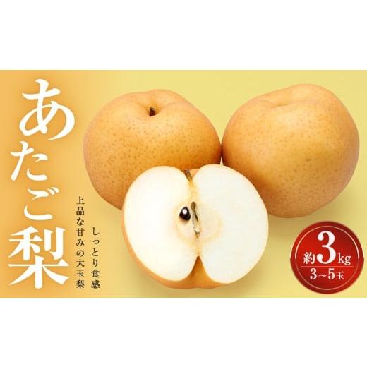 ふるさと納税 梨 岡山県 備前市 先行受付 岡山県産 あたご梨 約3kg (3〜5玉)(令和8年11月中旬〜12月中旬頃発送) 岡山県産 あたご梨 なし フルーツ 果物 大…