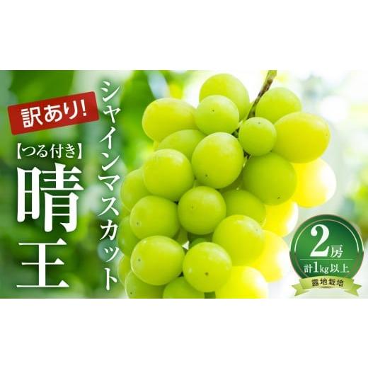 ふるさと納税 ぶどう マスカット 岡山県 備前市 先行受付 <訳あり> 岡山県産 つる付きシャインマスカット 2房 (1房530g以上) 露地栽培(令和8年9月上旬…