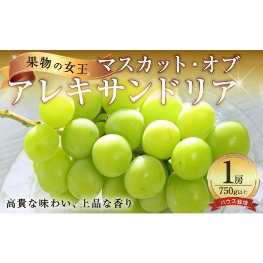 ふるさと納税 ぶどう マスカット 岡山県 備前市 先行受付 岡山県産マスカットオブアレキサンドリア 1房 (750g以上) ハウス栽培(令和8年7月中旬〜8月中旬頃発…