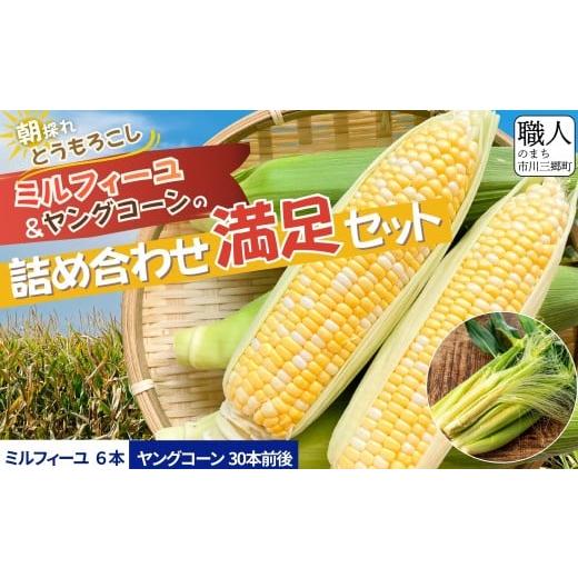 ふるさと納税 とうもろこし 山梨県 市川三郷町 奇跡の1週間 バイカラースイートコーン[ミルフィーユ]&朝採れヤングコーン詰め合わせ|1株1果の“除房仕立て…