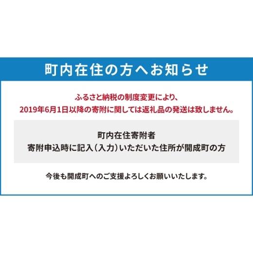 ふるさと納税 水・ミネラルウォーター 1L〜2L 神奈川県 開成町 備蓄用保存水 （２L×6本）4箱 ラベルレス BDBE006-3 24本（6本×4箱）の画像