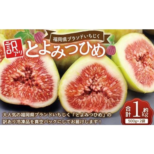 ふるさと納税 いちじく 福岡県 岡垣町 訳あり冷凍いちじく「とよみつひめ」1kg 冷凍 いちじく イチジク フルーツ くだもの 果物