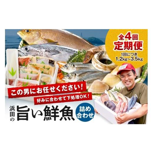 ふるさと納税 旬の鮮魚等 島根県 浜田市 チョイス限定 定期便 この男にお任せ 〜浜田の旨い鮮魚四季のお届けコース〜 海鮮 鮮魚 定期便 4回 下処理済み 季節…