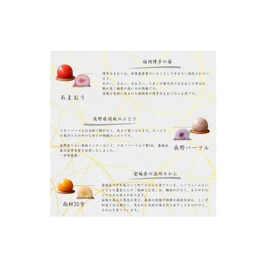 ふるさと納税 和菓子 生菓子 長野県 飯田市 厳選 素材 の あんこ 玉 9種 | スイーツ お菓子 和菓子 餡子 あんこ フルーツ 果物 おやつ ご褒美 長野県 飯田市_3