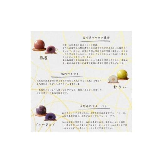 ふるさと納税 和菓子 生菓子 長野県 飯田市 厳選 素材 の あんこ 玉 9種 | スイーツ お菓子 和菓子 餡子 あんこ フルーツ 果物 おやつ ご褒美 長野県 飯田市_4