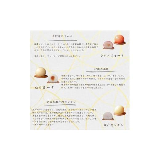 ふるさと納税 和菓子 生菓子 長野県 飯田市 厳選 素材 の あんこ 玉 9種 | スイーツ お菓子 和菓子 餡子 あんこ フルーツ 果物 おやつ ご褒美 長野県 飯田市_5